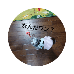 Ken_20200124181130