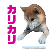puutarou_20200124212900