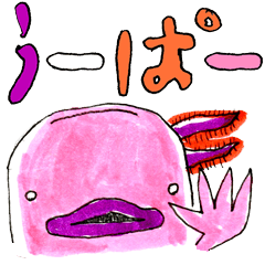 Axolotl "Hironobu"