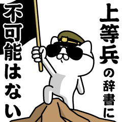 "Superior soldier"name/Military cat