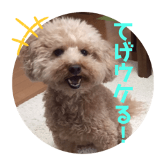 saori_20200124234910