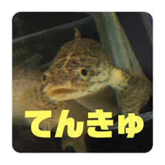 mo_20200125085715