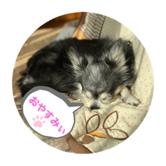 MiMi_20200125090459
