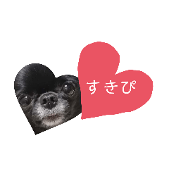 tomomi_20200125115614