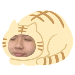 Steven pINk 品萪的日常