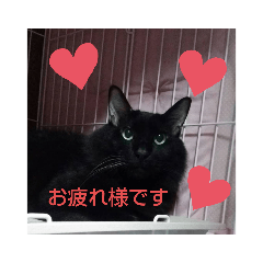 una_20200125075648