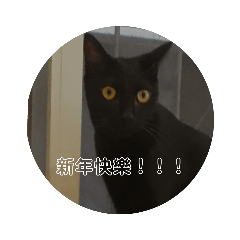 新年快樂&nbsp; &nbsp;路可，歐咪(2020)