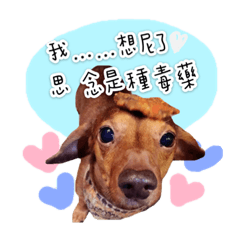 勞綸斯の恩典珍藏