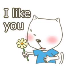 White cat lives happily