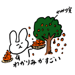 cutie bunny story 3