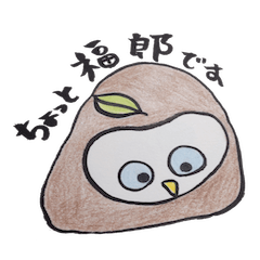 Mr.Owl