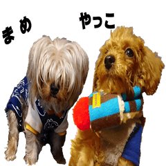 edamametouhu
