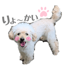 nanami_20200125184402