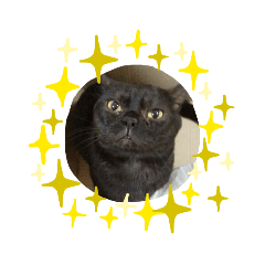 kanae_20200125224710