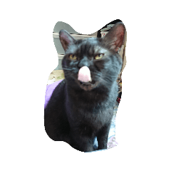 kanae_20200125233230