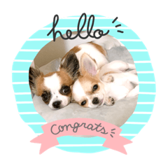 arisa_20200126001531