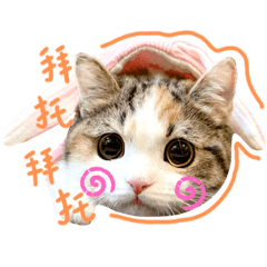 趴呀皮娜喵第1彈嘿