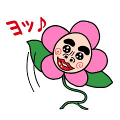 Mr.flower