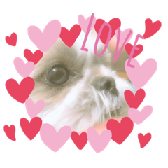 saya_202001260035672