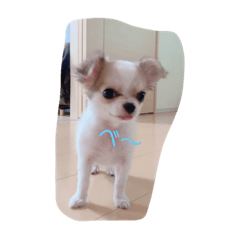 arisa_20200126010448