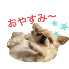 ken_20200126011544