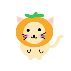 mandarin orange hat cat