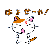 Cat in Osaka!
