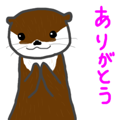 Otter What I want to convey
