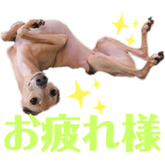 natsumi_20200126140426