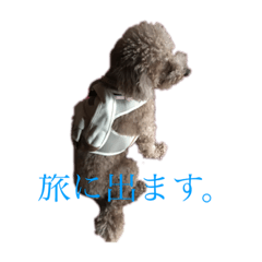 hana_20200126