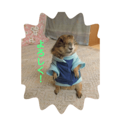 Jackie_20200126165717