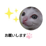 Mr.nori_20200126185936