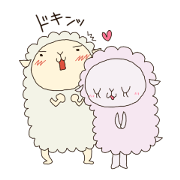 The couple of sheep