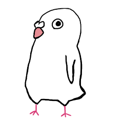 "corkoo" of a white pigeon