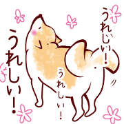 atachitachi no sibainu 1