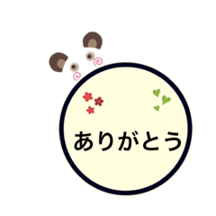 hayato_20200126184647