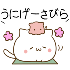 Cats & Mendaco in the Okinawa dialect