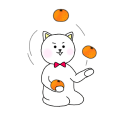 white cat and mandarin orange