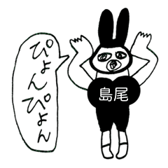 SHIMAO RABBIT