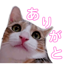 mimi_20200127144658