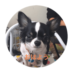 SANAE_20200127152614