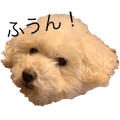 hiroki_20200127153655