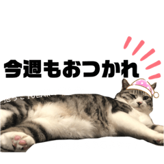 tomomi_20200128105754