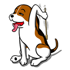 I-TIM: The Beagle