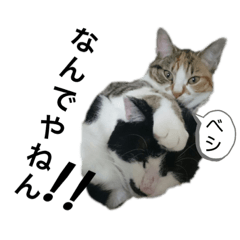 HIKARI_20200127184620