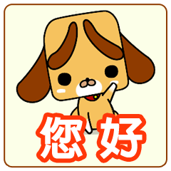 Weather forecast dog CORON(Taiwan)