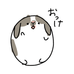 cute cute rabbits!
