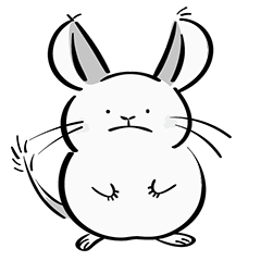 Soy chinchilla