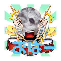 miya_20200127105827a-tya