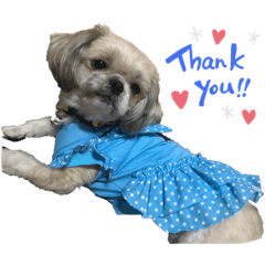 Patty_20200128000317